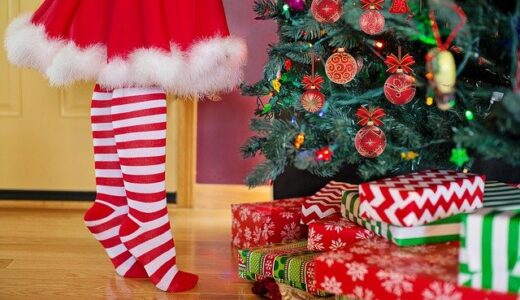 2歳の娘から、クリスマスプレゼントにブドウのリクエストを受けました