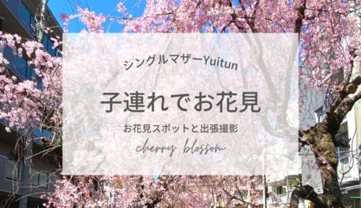 今年の桜の開花予想と、子連れお花見に良さそうな公園